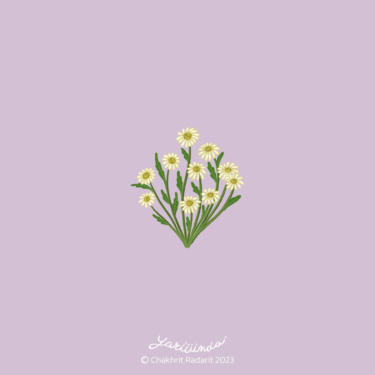 6•21_Edible flowers-Daisy

🗓️ #yariiiinda_daily

#นักวาดภาพประกอบ #illustration #illustrator #painting #thaiillustrator #art #artwork #thaiartist #illustrationdaily #dayindrawout #Procreate