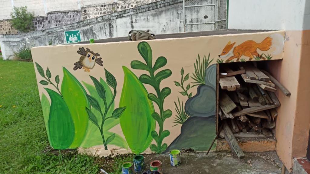 AVSI Ecuador tweet media