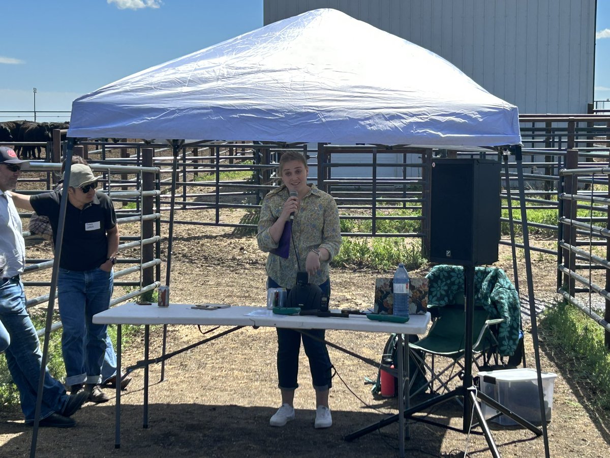 WCVM Today (@wcvmtoday) on Twitter photo #WCVM MSc candidate Katrina Garneau, supervised by Dr. Diego Moya, during her presentation at the <a href="/LFCE_usask/">Livestock & Forage Centre of Excellence</a> Summer Field Day about her research in fine tuning the accuracy of visual diagnosis of bovine respiratory disease. #WCVM MSc candidate Katrina Garneau, supervised by Dr. Diego Moya, during her presentation at the <a href="/LFCE_usask/">Livestock & Forage Centre of Excellence</a> Summer Field Day about her research in fine tuning the accuracy of visual diagnosis of bovine respiratory disease.