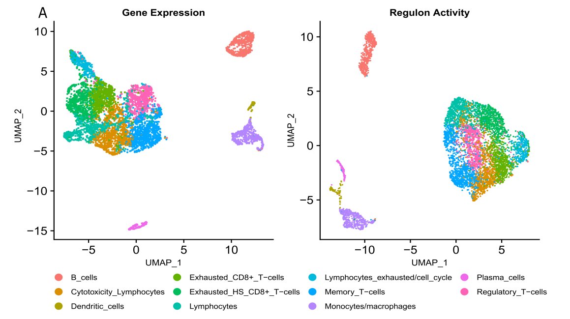 Cancer Immunology Research tweet media