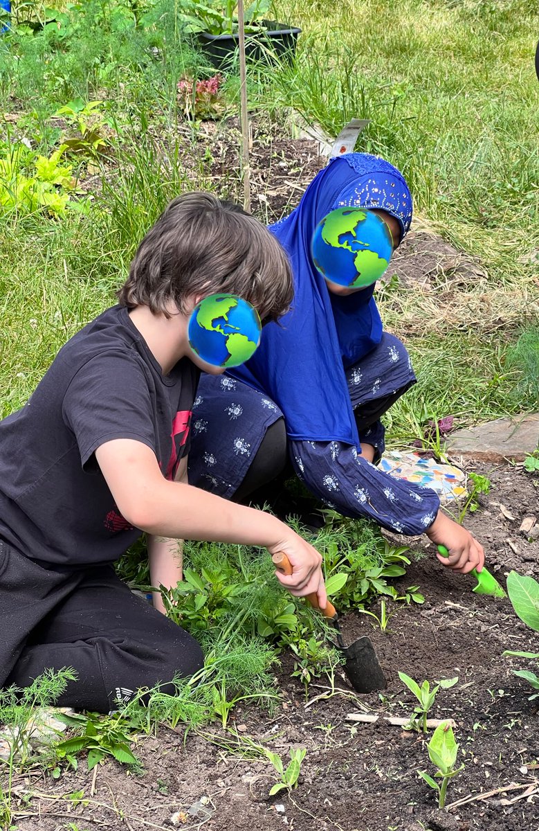 Celebrating National Indigenous Peoples Day early with <a href="/greenthumbsto/">Green Thumbs</a> 
Thank you for a wonderful experience! <a href="/Sprucecourt/">TDSB_Sprucecourt</a> we can’t wait to see the sunflowers 🌻 in September!
