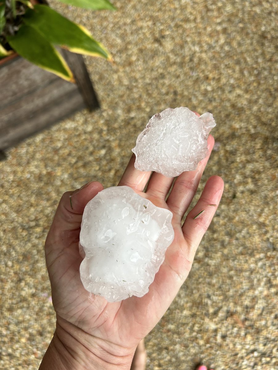 Totally bonkers size hail in Baton Rouge. Riverbend neighborhood. #lawx @NWSNewOrleans @SteveWAFB @MargaretOrr @DrJoshWX