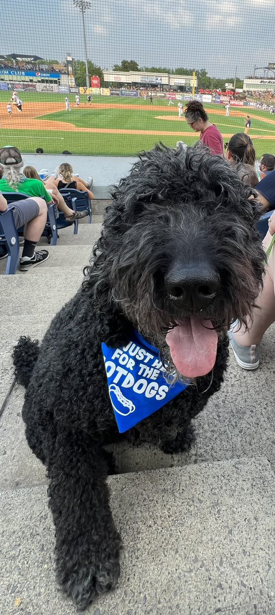BigTee724's tweet photo. We love a Bark in the Park! #wmwhitecaps #shareyoursizzle https://t.co/tTjmXMeOkT