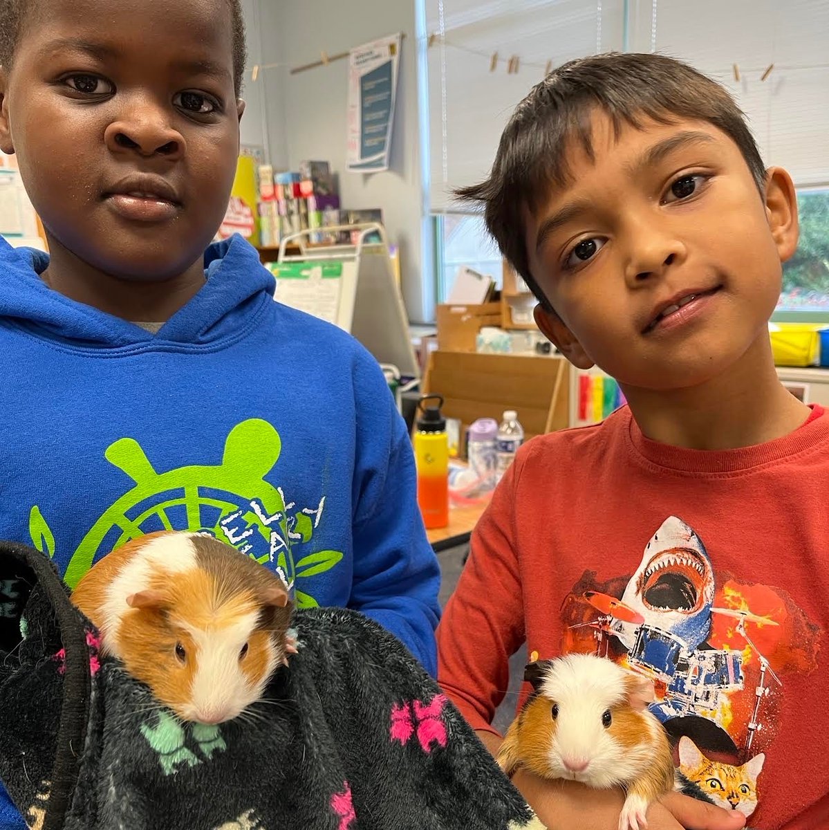 June is #NationalFosterAPetMonth and we need to send out a special thank you to Ms Berg's 3rd Grade class at Campbell Elementary! In the past 2 years this class has fostered more than 30 small pets. These amazing kids have helped so many pets find new homes!