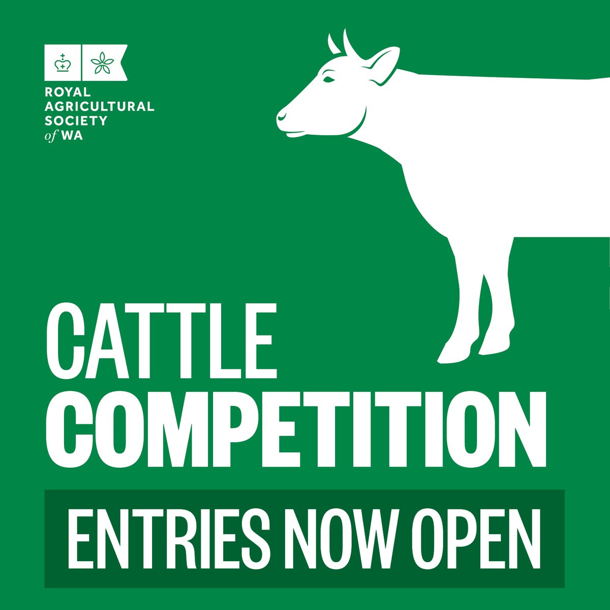The #PerthRoyalShow Beef, Dairy, Led Steer &amp; Heifer competitions are now accepting entries! 

As some of our oldest and most anticipated competitions at the Perth Royal Show, the Cattle Competitions always bring in a big crowd and lots of energy 🐮

Visit perthroyalshow.com.au/competitions/c…