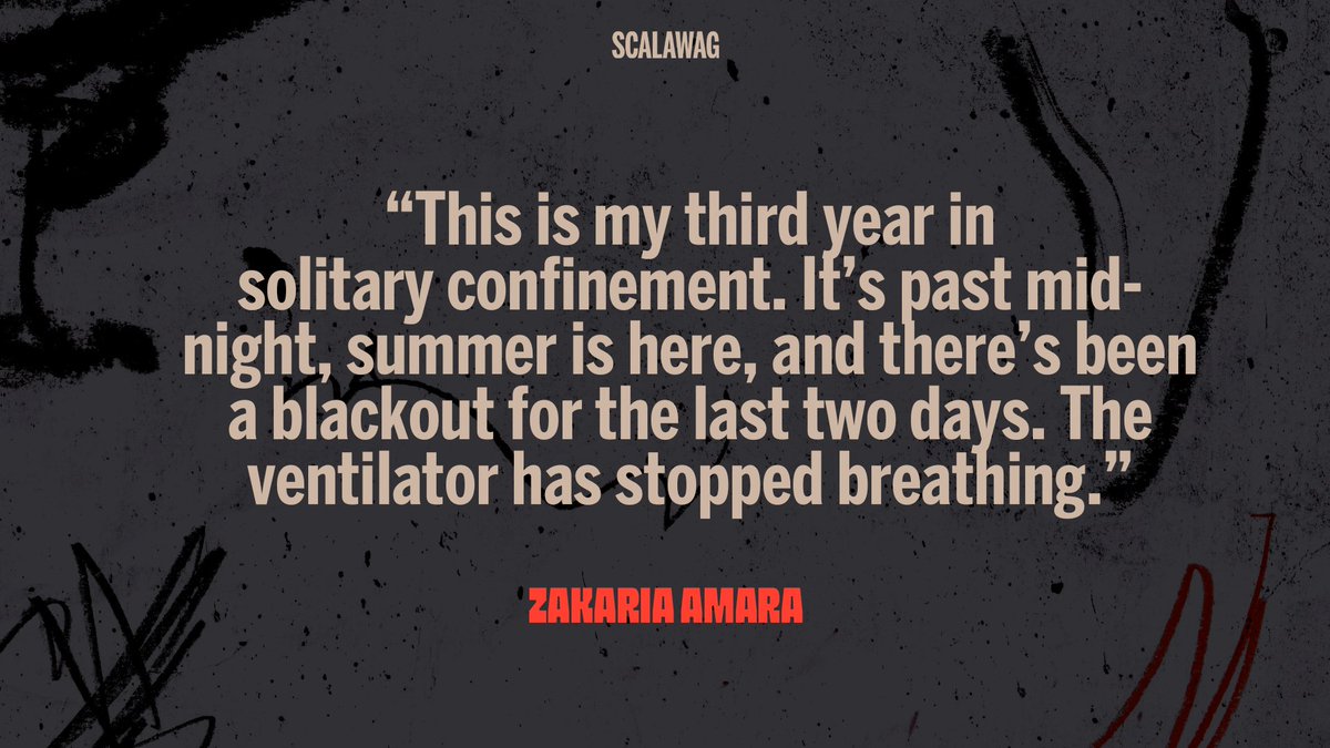 Scalawag tweet media