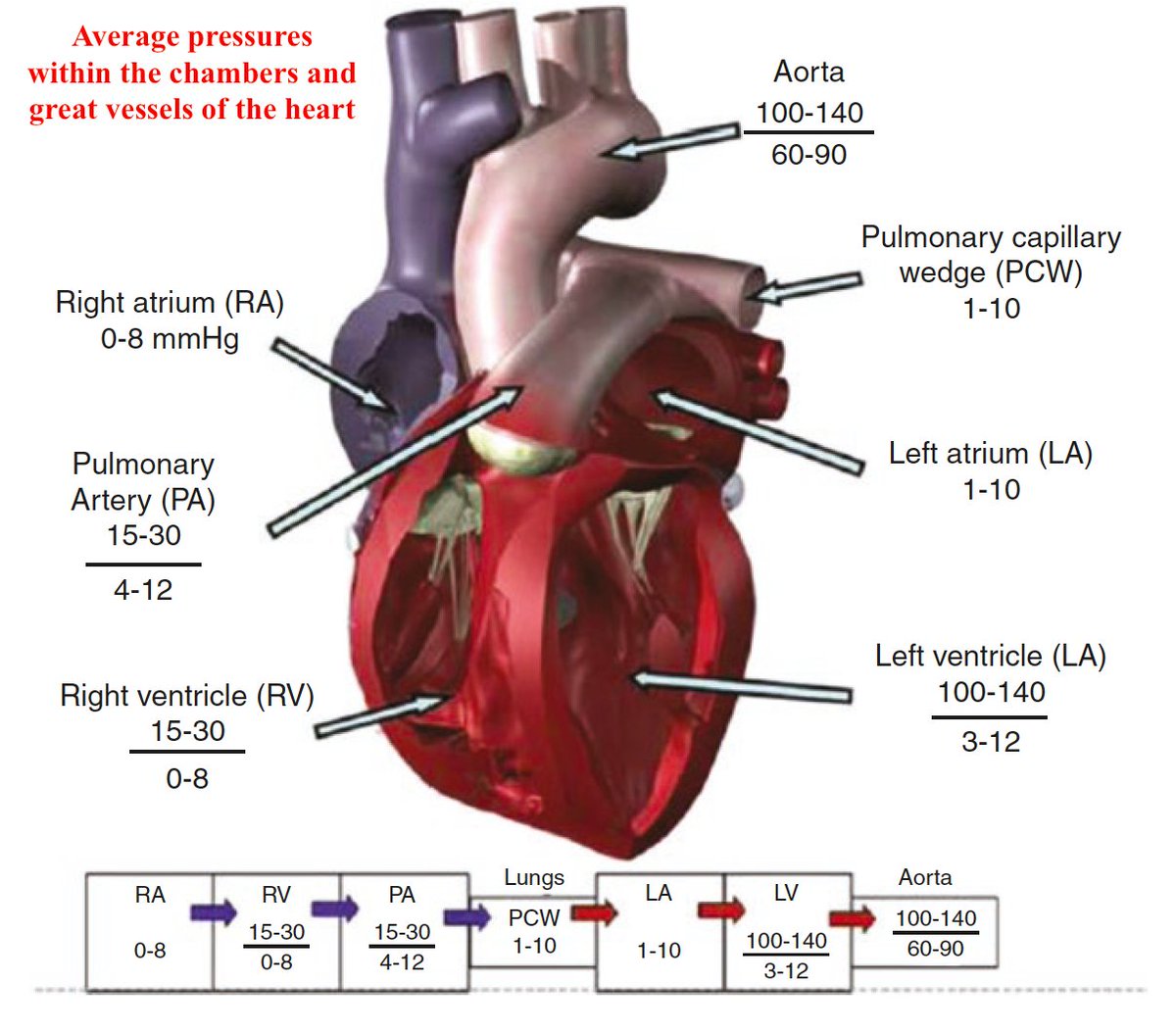 Refresher on Hemodynamics:

From: Cardiovascular Hemodynamics. An Introductory Guide. Arman T. Askari, Adrian W. Messerli. Springer International Publishing; 2019