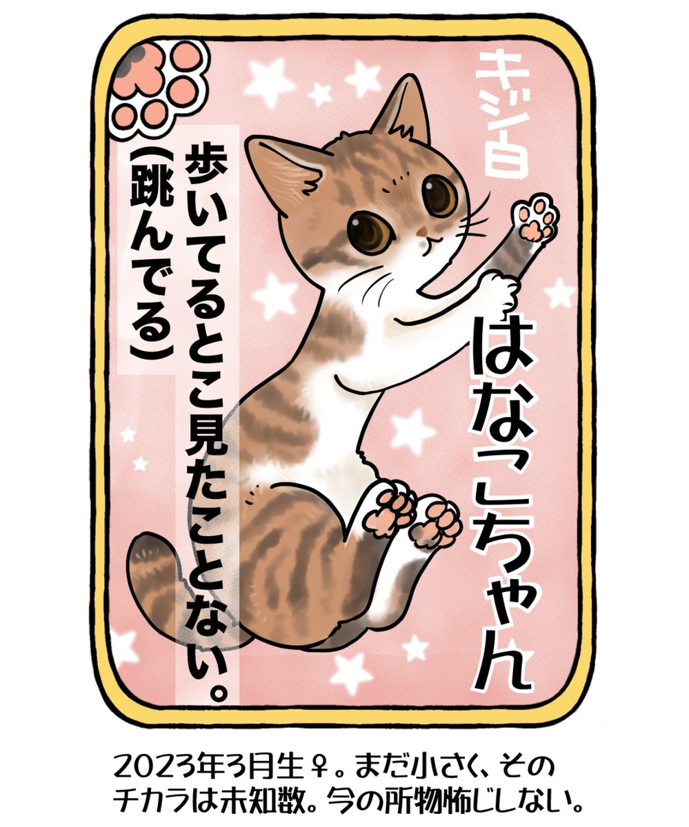 #今日の山野絵 
#山野家登場犬猫紹介カード
8日目は はなこちゃん🌷
夫が保護して連れて帰ったコ(2年ぶり3回目)。
海きゅん、ねねこちゃんと毎日走り回って遊び、疲れたらイムにゃんに顔をうずめてHPを回復…理想的な猫生を送り始めたのではないでしょうか✨

明日はまとめをアップします～🐈 