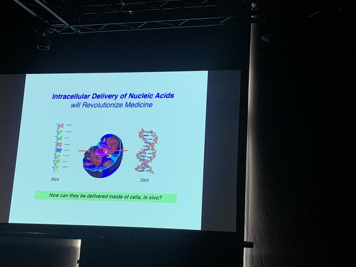 Daniel Anderson from MIT is talking about nanoparticles for RNA therapy #oznanomed 2023