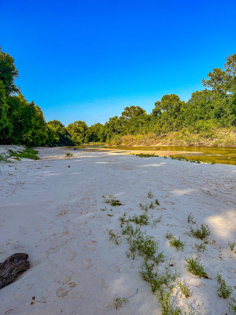 Thecheeseman algo On Twitter When You Live 10 Minutes From The River 