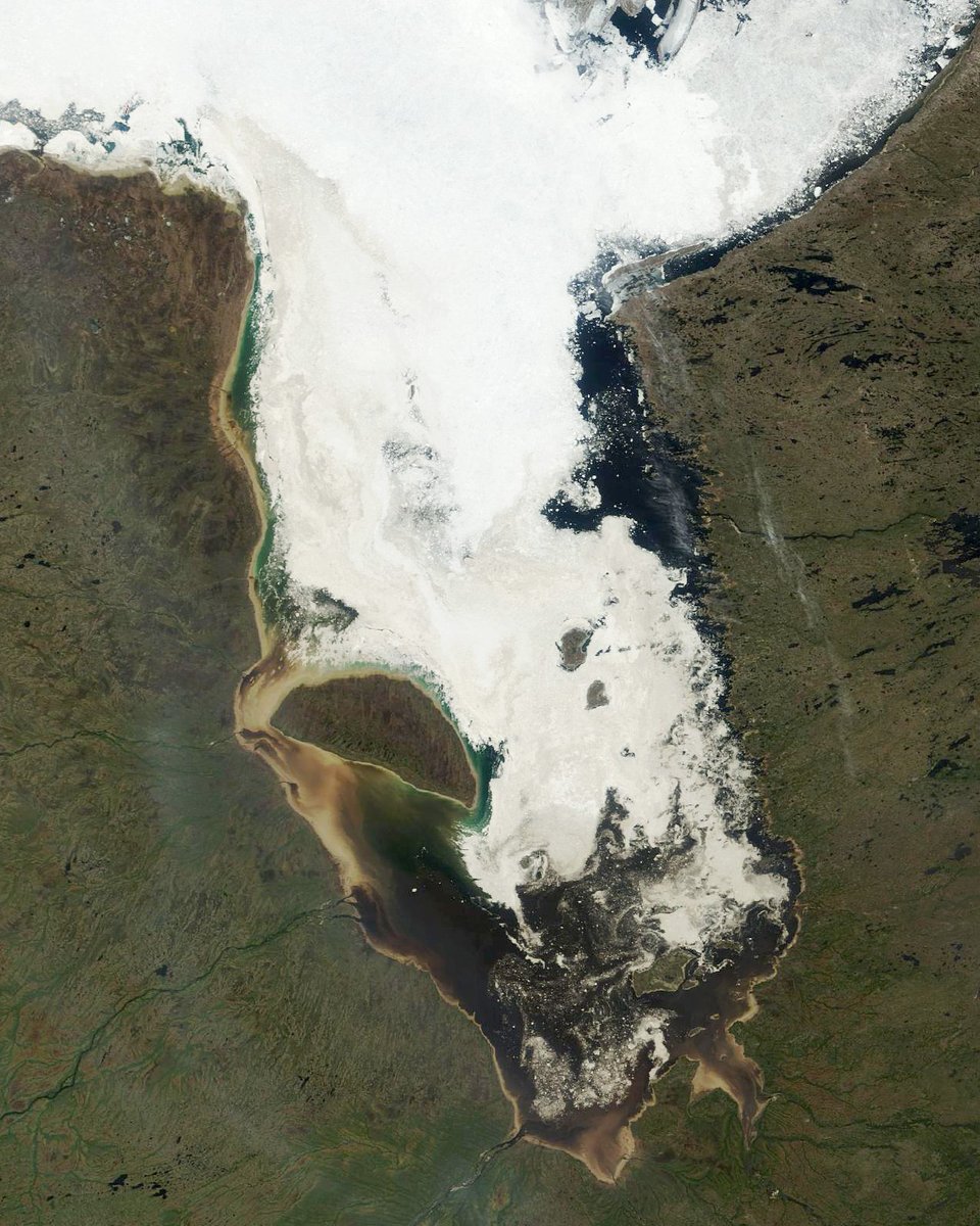 NASAEarth's tweet photo. Seasonal sea ice is breaking up in Canada’s James Bay. 🧊

@NASA’s Terra satellite captured this image on June 2, 2023, when little fast ice (ice fastened to the surrounding coastlines) remained. Typically, fast ice grows in December and breaks up in May. https://t.co/OF8GOOWltL https://t.co/omQZoDSI0q