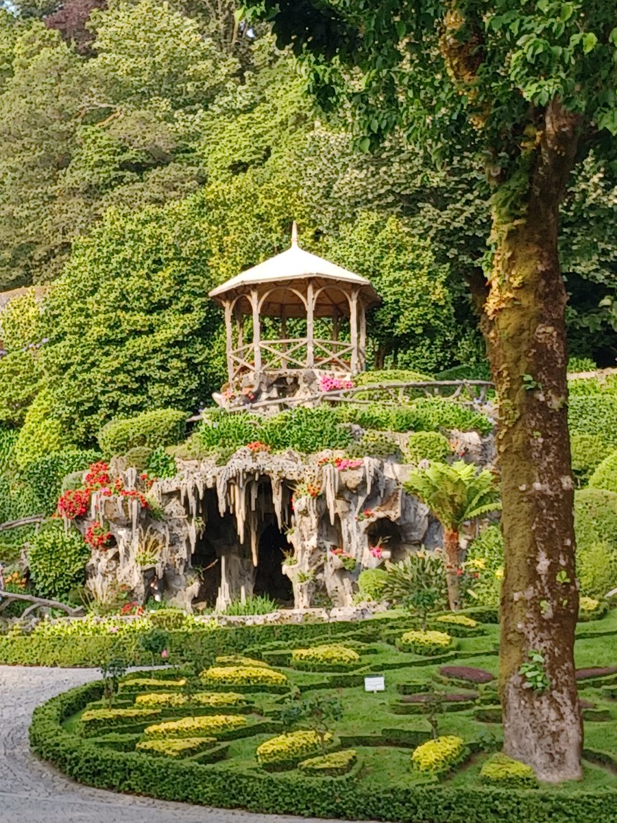 Amy J. Schmitz tweet media