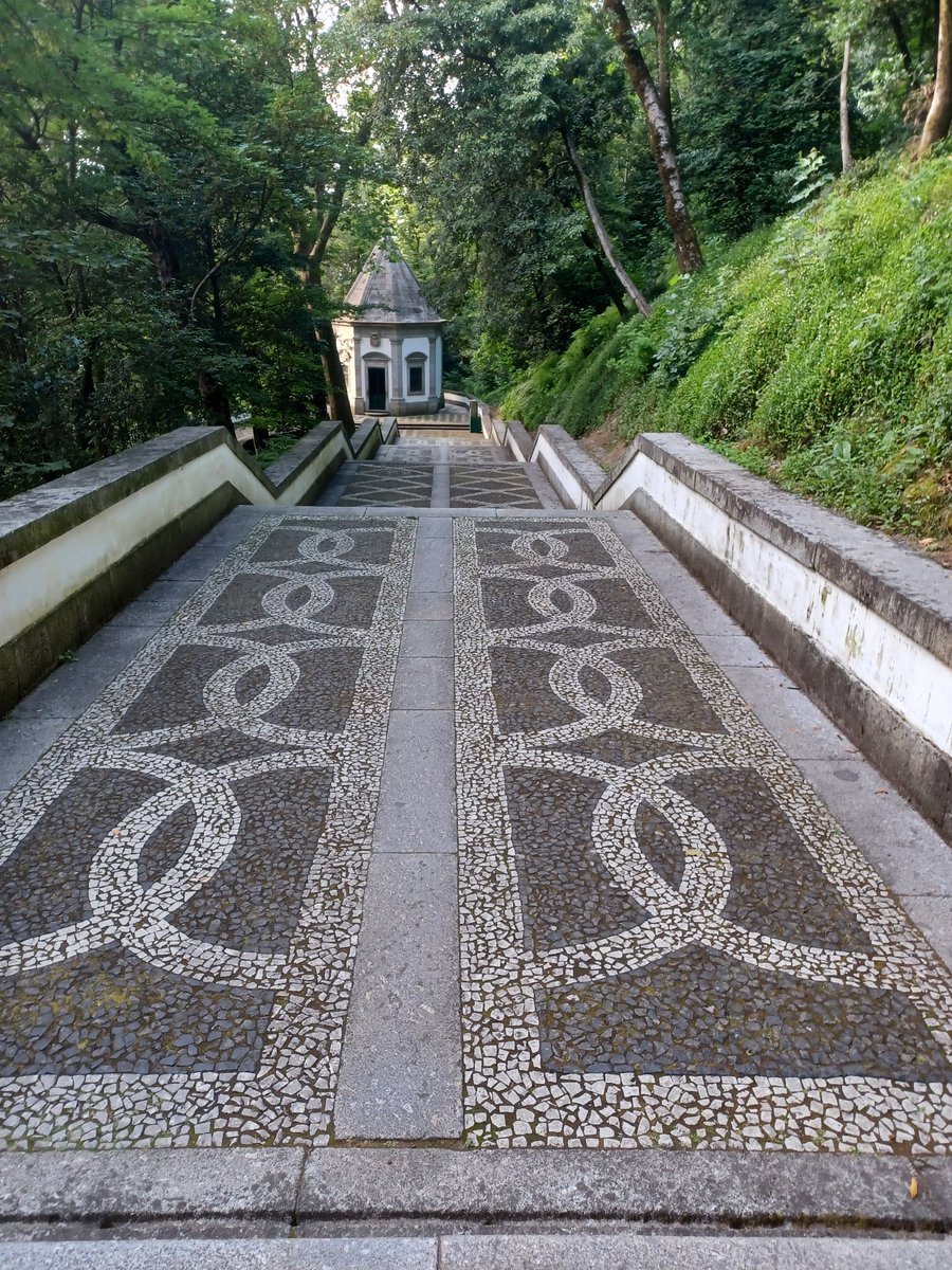 Amy J. Schmitz tweet media