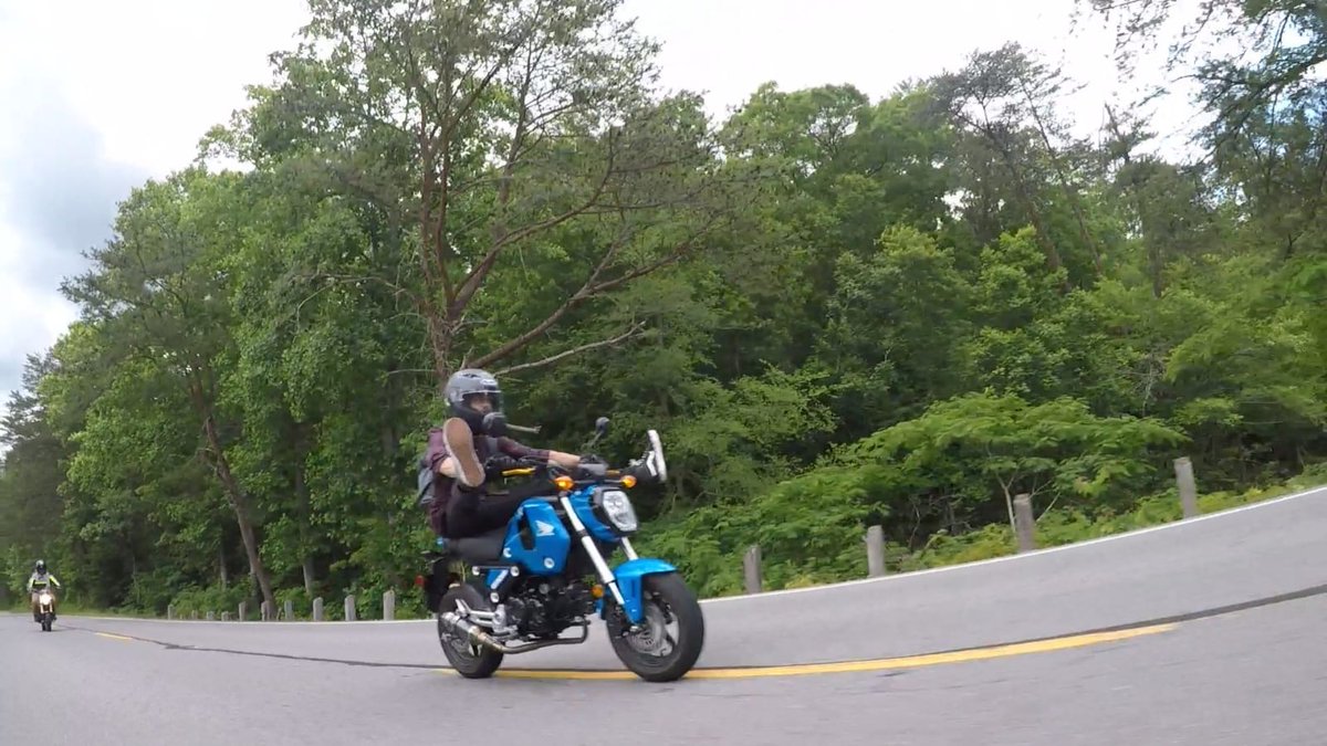 Only a few follows off 400 if you can help a guy out👇😎

instagram.com/thatsme_grommin