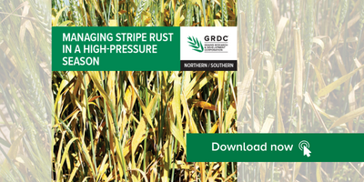 Discover how 8 growers managed stripe rust last year 👉 bit.ly/3NatDwi

<a href="/adfreeth/">Andrew Freeth</a> Cam Penny, Charlie Baldry, Simon Schlitz <a href="/brodenholland/">Broden holland</a> Andrew Earle <a href="/Prophetised/">Tim McClelland</a> Kevin Kilby

📷 Kirsty Fisher, Katherine Hollaway, Nicole Baxter, Melanie Jensen #StripeRust