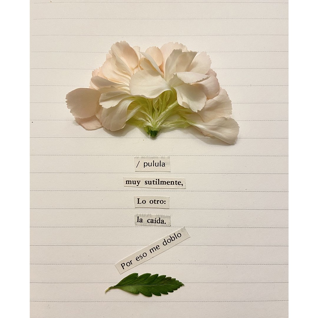 " /pulula 
muy sutilmente, 
Lo otro: 
la caída. 

Por eso me doblo". 

Marisa Isabel Martín Hidalgo <a href="/marisamartinh_/">Marisa Martin. 🏳️‍🌈✨</a>  (Valencia, 1977). 

#poesiaavenezolana #poetaslatinoamericanos #poesía  #MariaIsabelMartinHidalgo #latinamericanliterature