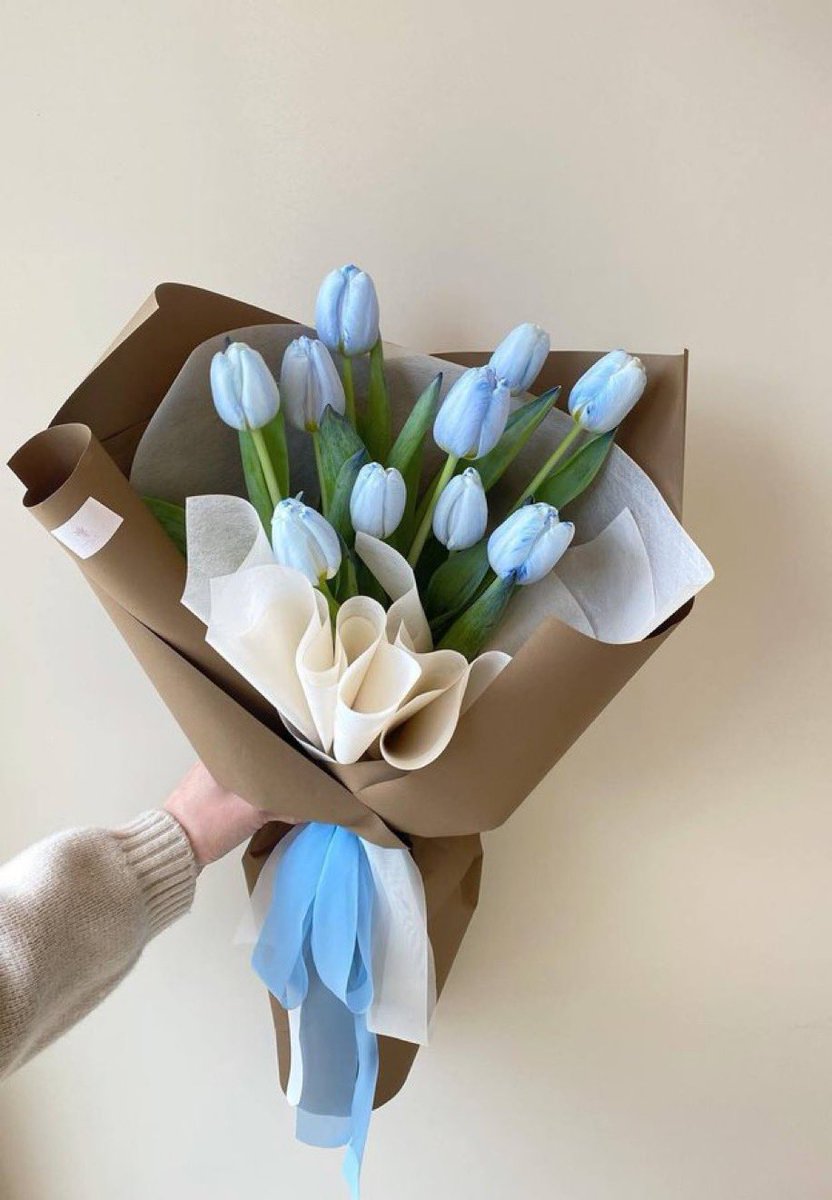 pastel blue tulips