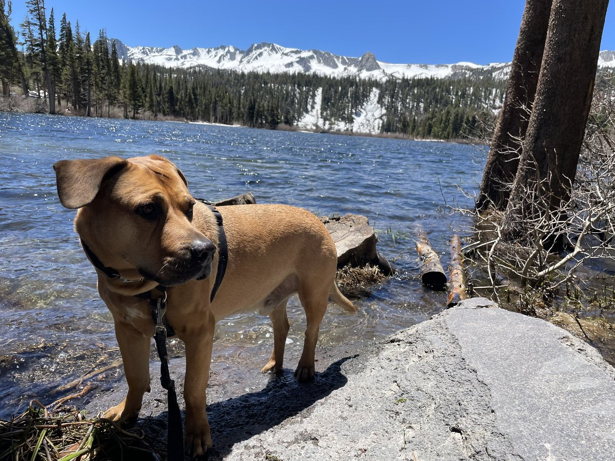 RoadSageLA's tweet photo. Sierra scenes for a Tuesday https://t.co/10pbEholSW