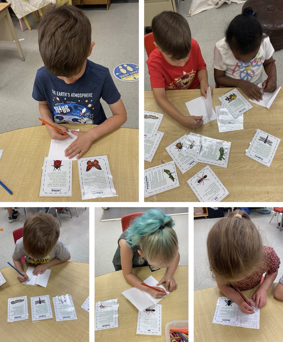 MrsShackelton's tweet image. Which bugs would you pick to be in your book?🐞🦋🐛🦗🐝🕷️

#bugbook #bookwriting #buginquiry #followingthechildrenslead #kinderliteracy 

@DonnellyEmilie @louisearbourfi @TVDSBLiteracy