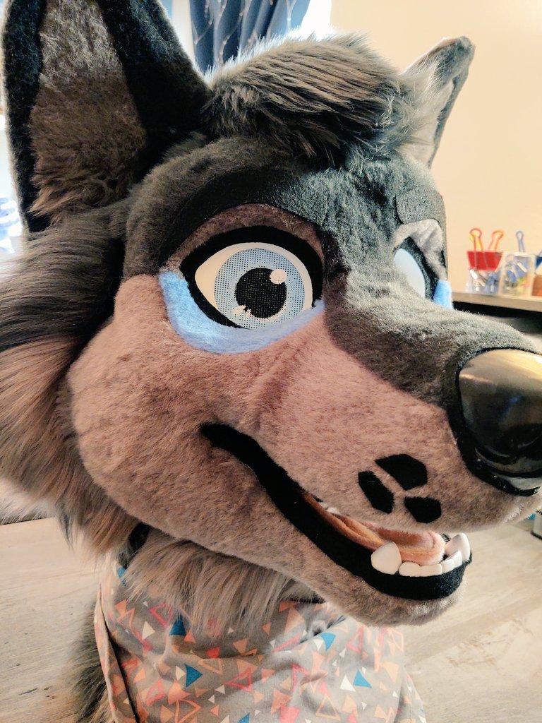 Desert Fizz Fursuits tweet media