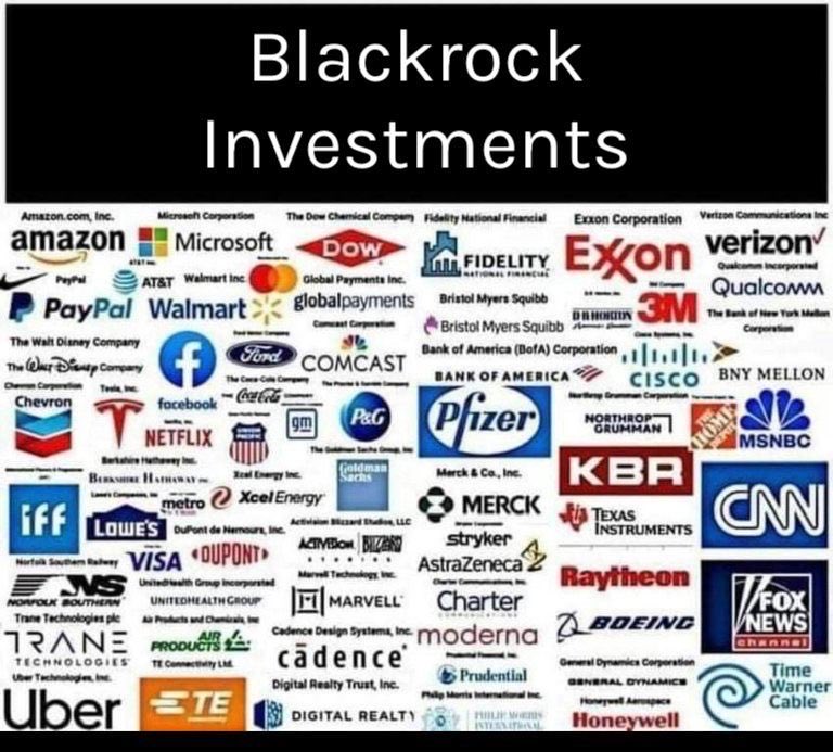 wtcrescuer911's tweet photo. Black list Blackrock! Not easy but possible! Buy small &amp; local! https://t.co/d7hH0PJhXp