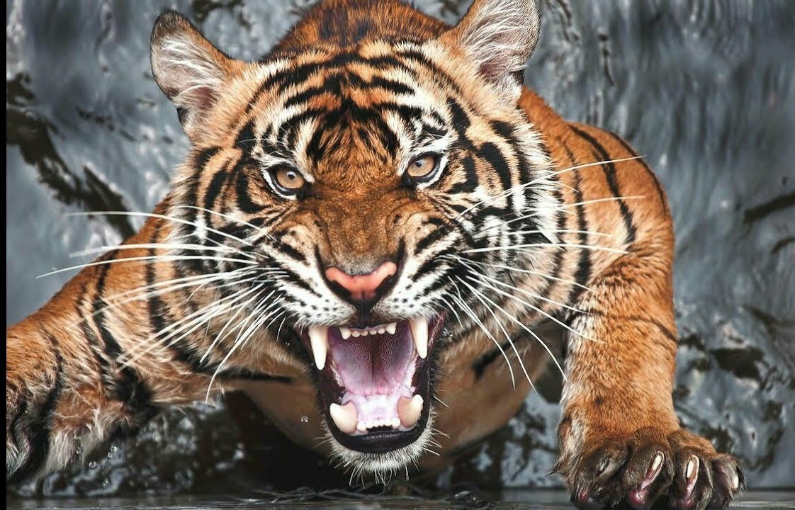 Signs and Numbers tweet media