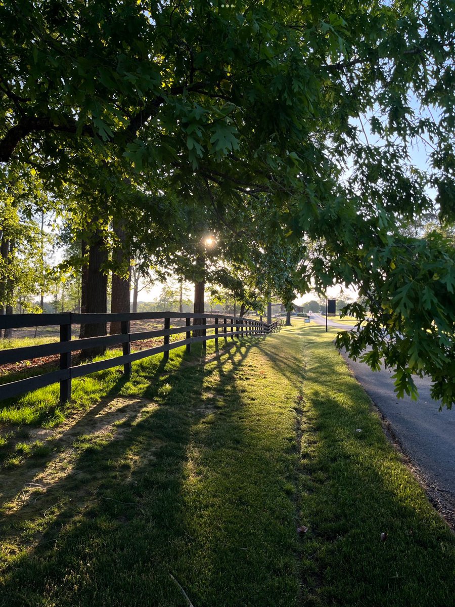Architectolder's tweet photo. I'm asking those who love the outdoors to post a picture YOU took. Just a pic. No description. The goal is to regain peace and harmony without negativity. Please copy the text, put a picture on YOUR page, and let's look at these beautiful pictures. https://t.co/gZJ1a2FA1R