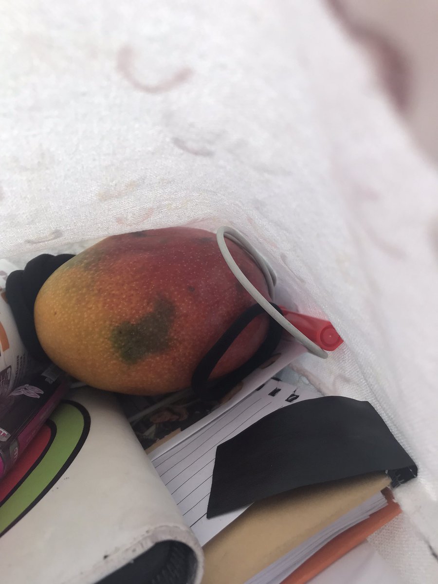 SariEscaleraa_'s tweet photo. Somos el manguito que está en mi tote bag y yo contra el mundo 🫶🏻 https://t.co/pyfNR3nhrj
