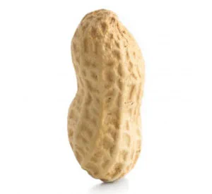 what do you call these? 