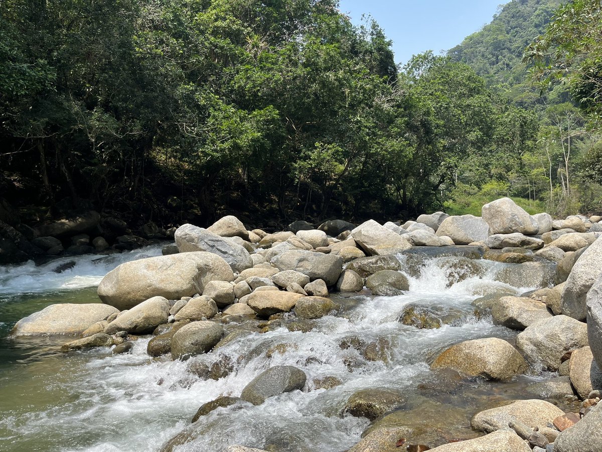 Ministra <a href="/susanamuhamad/">Susana Muhamad</a> ¿Qué tal si el Plan Nacional de Restauración lo materializamos a través de APPs?