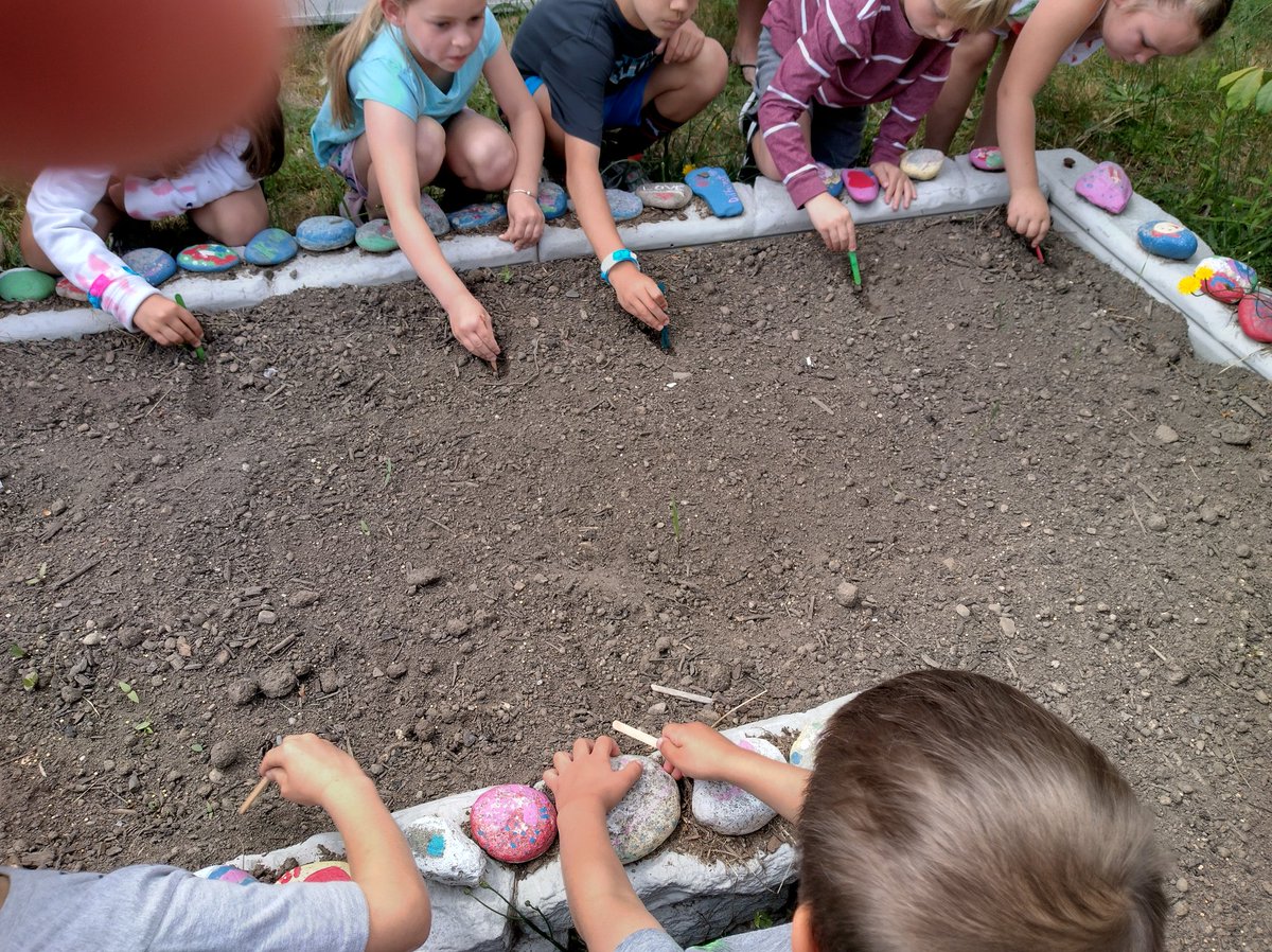 MsRosslvsbooks's tweet photo. 1st graders finished their #LibraryClass at #ManometElementary this year by planting π₯in conjunction with #MassachusettsCarrotDay . Can't wait to harvest them as 2nd graders next year! Looking forward to a great growing seasonππ₯ @MsRosslvsbooks @PlymouthSch @PlymouthAcCoord https://t.co/soNv8pnzOx