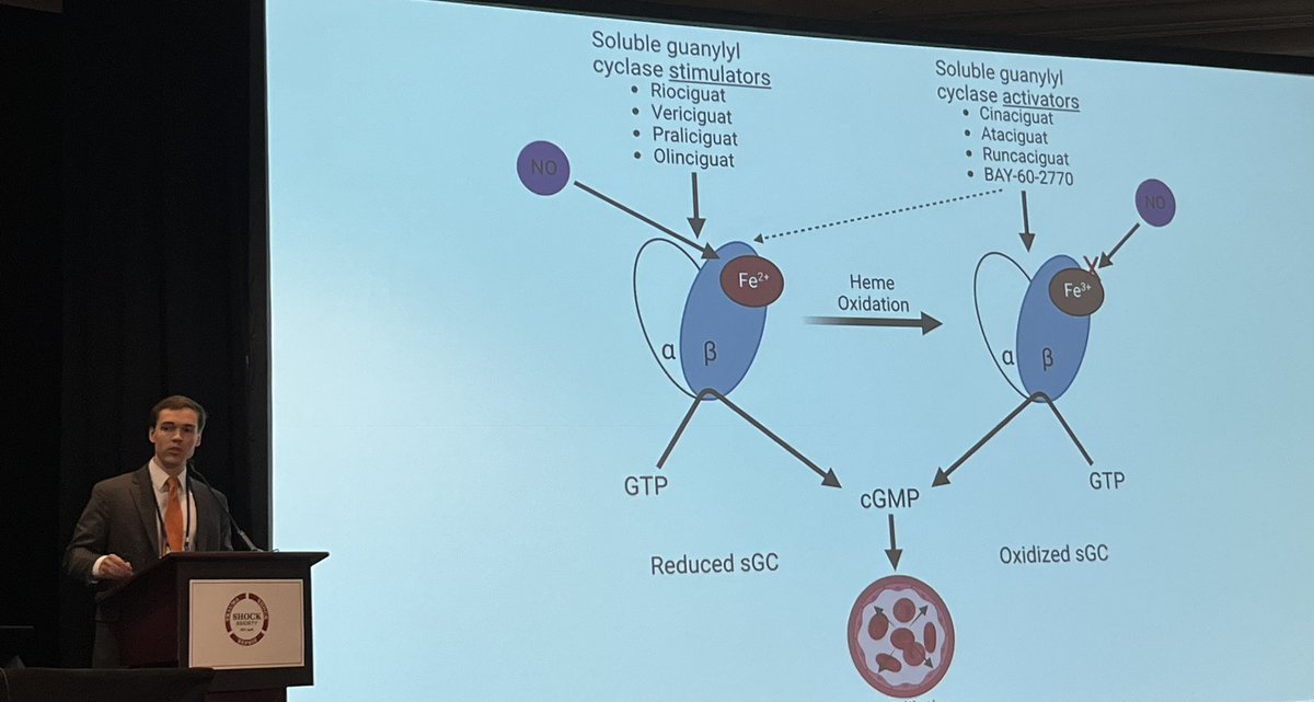 #BHRobbinsScholar Dr. Eric Mace presenting exciting new findings showing high oxygen impairs vascular function but rescued by sGC stimulation (mechanism hyperoxia sGC oxidation?) @SHOCKsociety annual meeting Portland. #ShockCon #PROTECT_Lab 
@VUMC_Anes