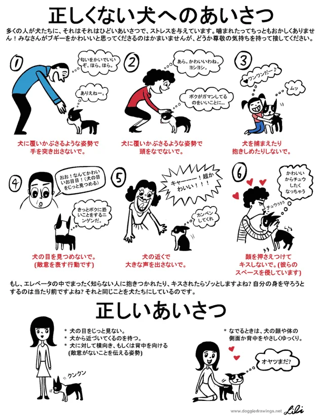 初めて犬にかかわる人へ「正しい犬への挨拶」と「正しくない犬への挨拶」