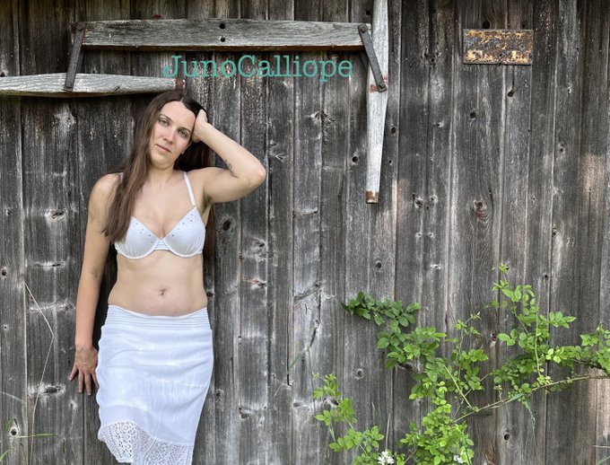 Out by the old barn 🌿 https://t.co/N1uEgmvYbe