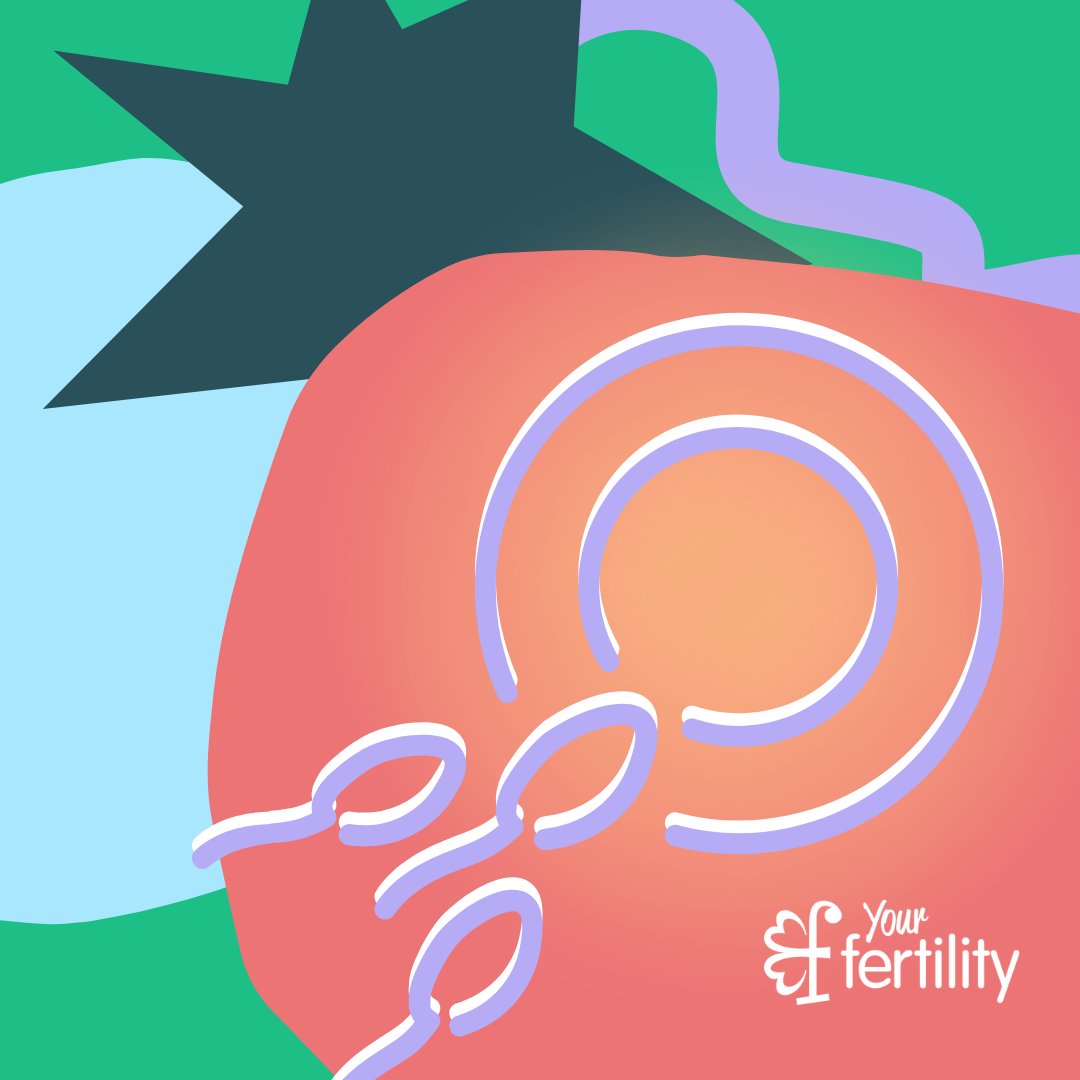 Check out @sexualhealthvic's Fertility & Assisted Reproduction: Teaching Resources for Schools. Learn more about the free resources and online learning for teaching fertility and more for years 3-10 here: shvic.org.au/schools/collab… #YourFertility #SexualHealthVictoria