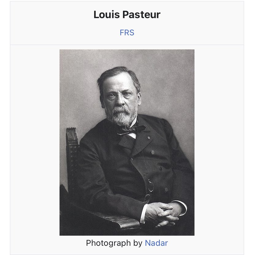 Noted Blacksauce Biscuit Consumer tweet media