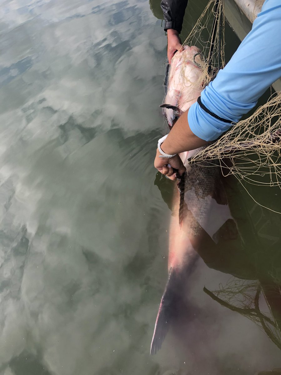 ThomasMore Field Station tweet media