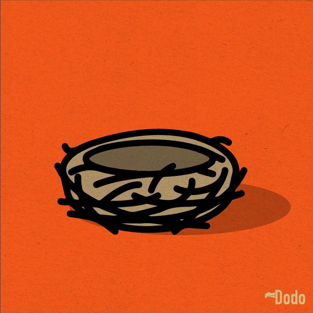 As Dodos start to flock to the Discord, keep your eyes peeled for codes to enter the nest 🪹 

There will be ample opportunities to gain access to the nest and obtain WL

The easiest way is…

🔔🦤