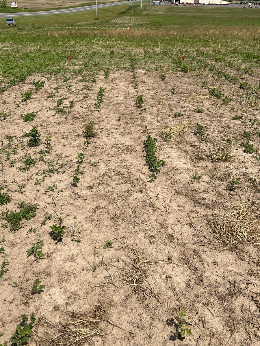 Vipan Kumar tweet media