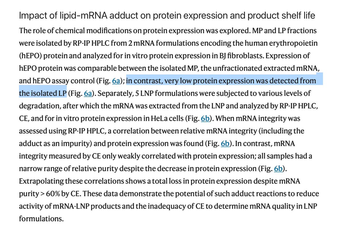 Words are hard to find If mRNA is degraded, the correct translation of proteins is lost. The wrong proteins are expressed, or loss of proteins occurs. >