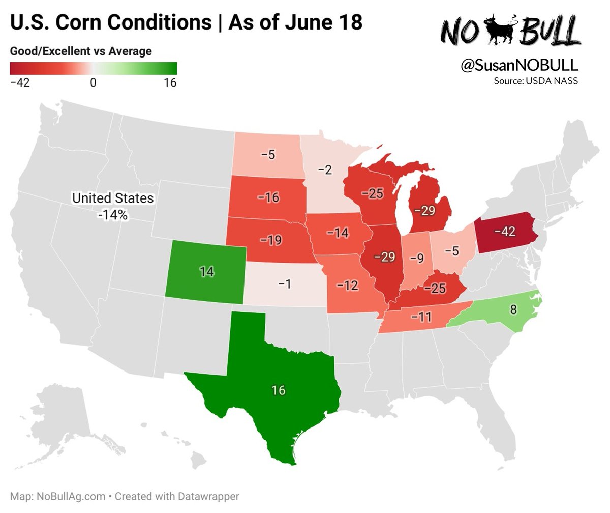 Susan Stroud tweet media