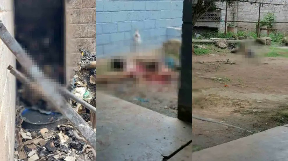 NRGalvez's tweet photo. TERRORÍFICO mueren más de 40 privadas de libertad en Támara.Una verdadera tragedia carcelaria, eso se vivió este martes (20/06/23) en la cárcel femenina de Támara, así lo confirmó la presidenta de la Asociación de Familiares de Privados de Libertad, Delma Ordóñez.
#PeriodismoUNAH https://t.co/sXAd8VkKIg