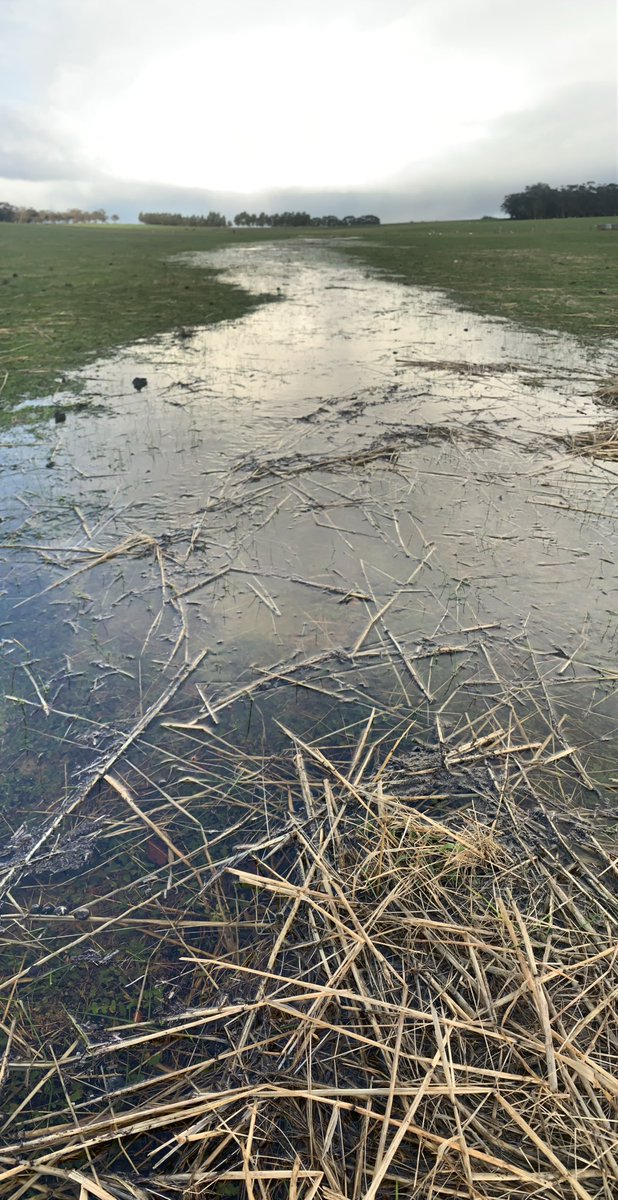 GregSounness's tweet image. 21 Days into June 2023 
🌧️ 184mm = Damp