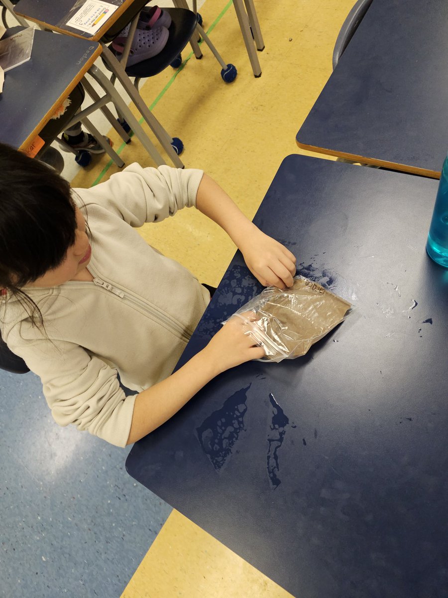 Mrs. Leung-Chow's Grade 1 Class tweet media