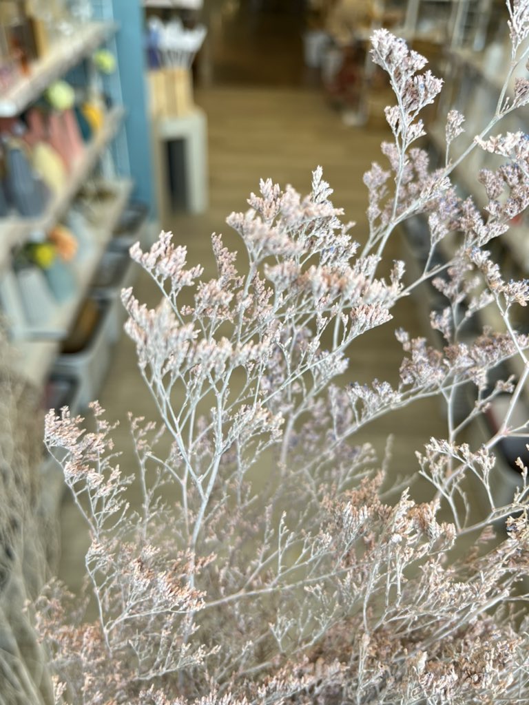 木製テラスの塗装 DIY 塗装カーペット