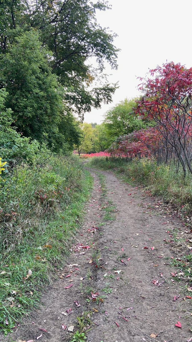 Tuesday’s Trail | Newton Hills State Park’s Woodland Trail near Canton, SD is one of my favorite trail runs and a great hike too. Trail specs at MomentumOutside.com. #hiking #hikingtrails #hikinggear #hikingwithdogs
#hikingwithkids #running #bicycling