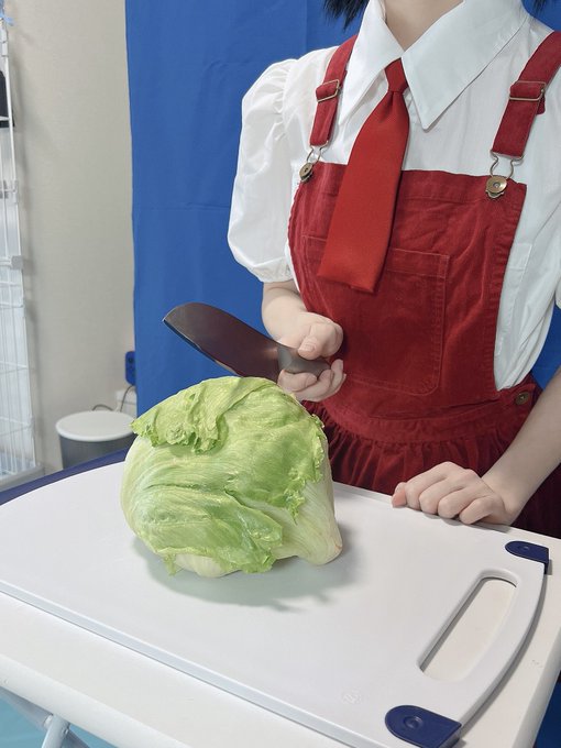 コスプレイヤーしらゆき（しらゆきミク）のTwitter画像26