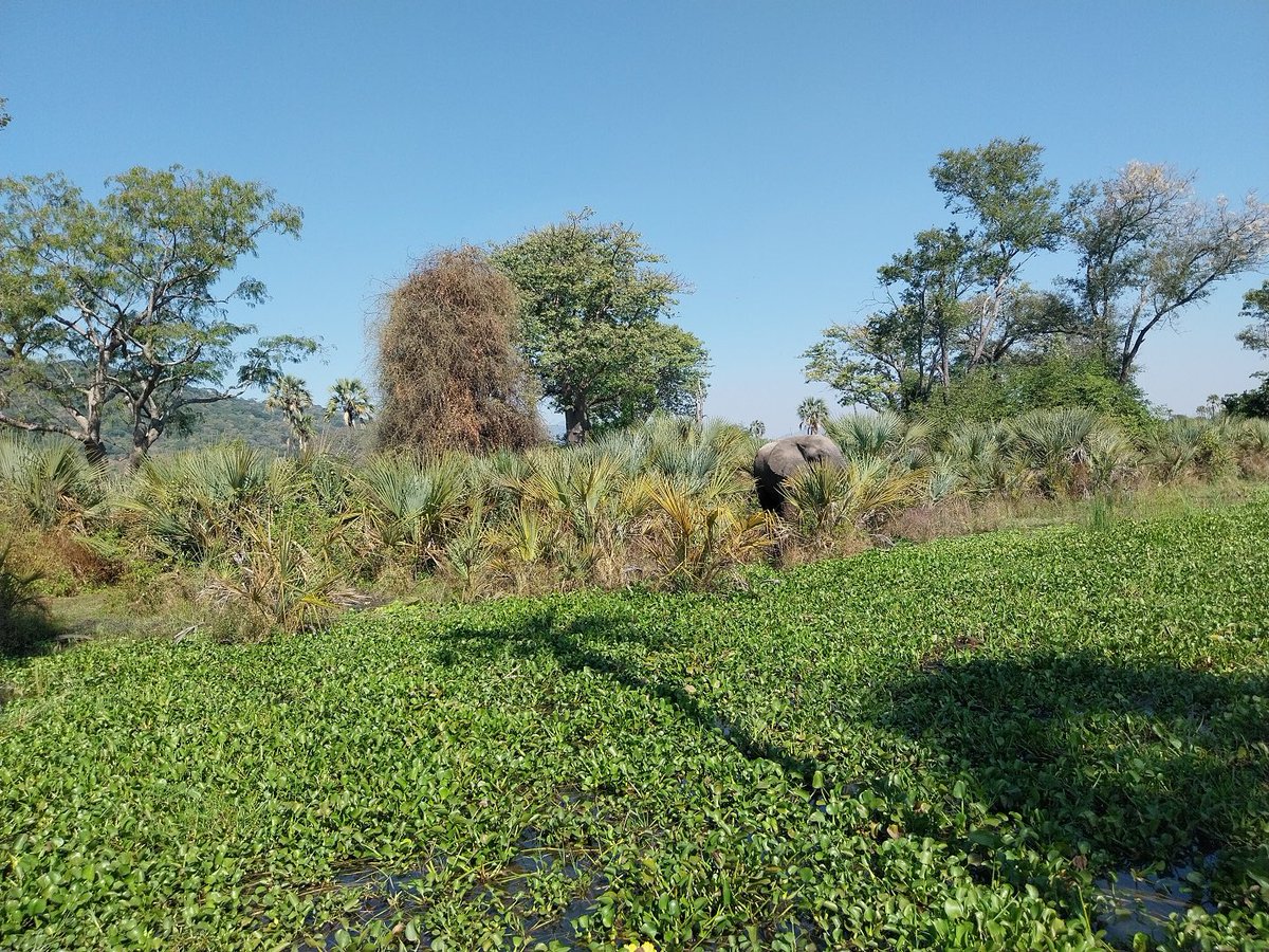 Our team, led by Jukka Tammi, CEO at Clewat Oy, concluded its mission in Malawi attending a meeting with H.E. Michael B. Usi, Minister of Natural Resources and Climate Change.
 
#clewatco #savingtheseas #marineplastics #sustainablebusiness #biodiversity #finland #Malawi