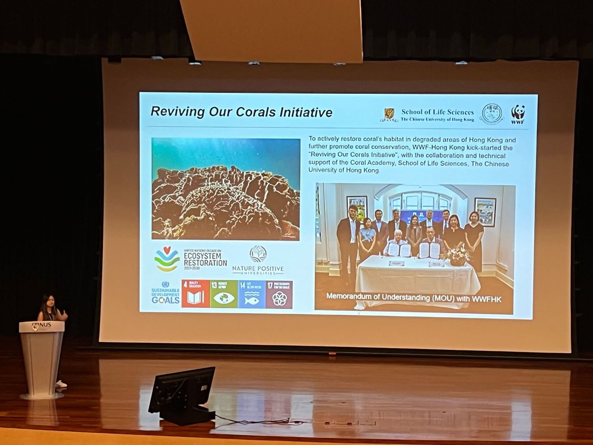 Apple Chui tweet media