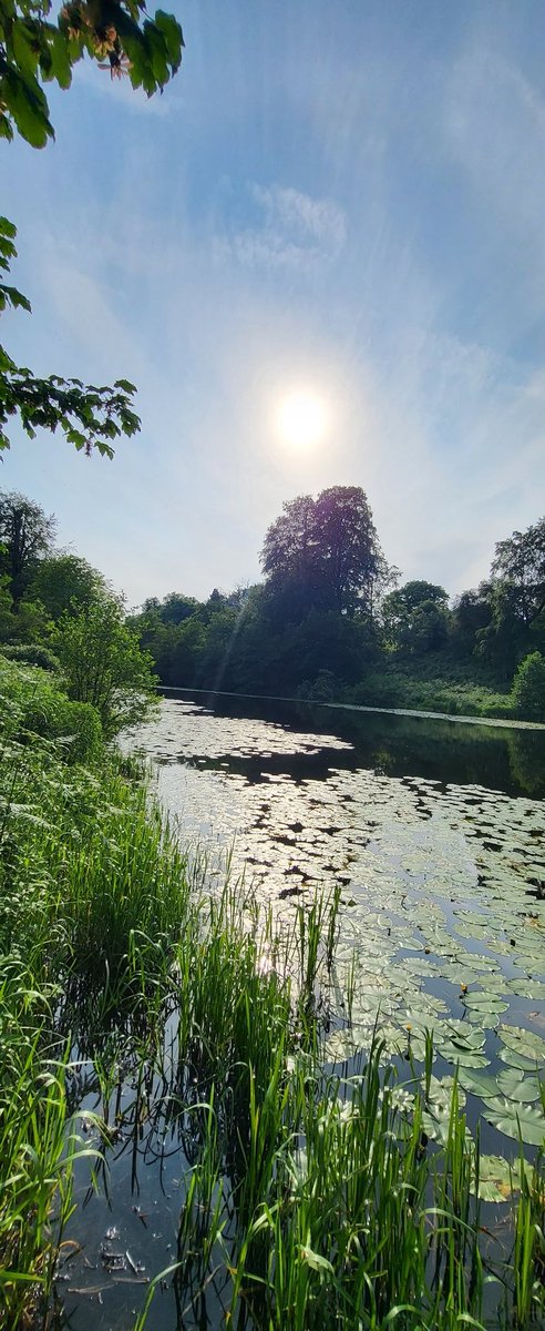 Last weekends walk around Betty's pond, Calke Abbey, Derbyshire. #ScenicView #GetOutDoors #WeekendWalk